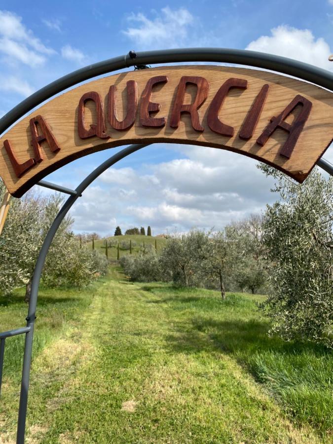 La Casina Della Quercia, Your Tuscan Oak Tree House Osteria Delle Noci Ngoại thất bức ảnh